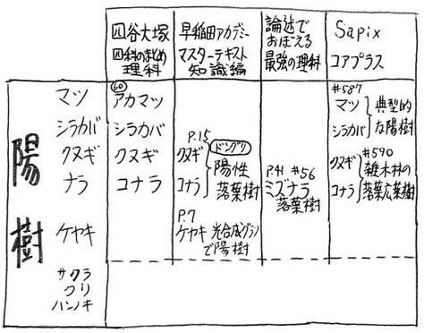 陽樹 陰樹|陰樹と陽樹の違いと代表的な樹木 